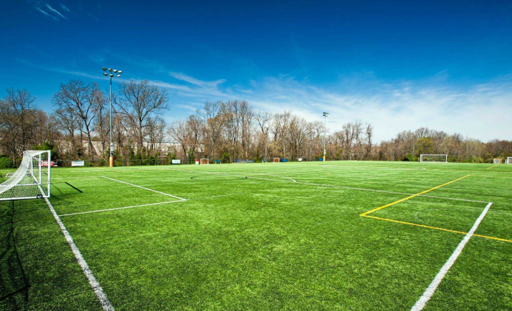 Soccer Field Lines